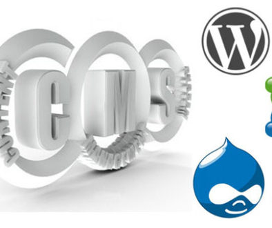 wordpress cms