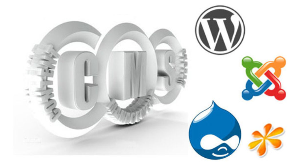 wordpress cms